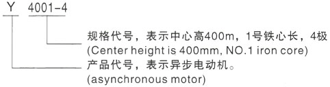 西安泰富西玛Y系列(H355-1000)高压猇亭三相异步电机型号说明